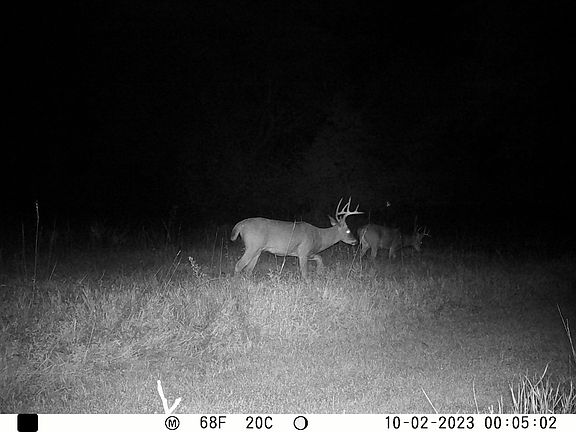 4th image of 0 SE 321st Rd