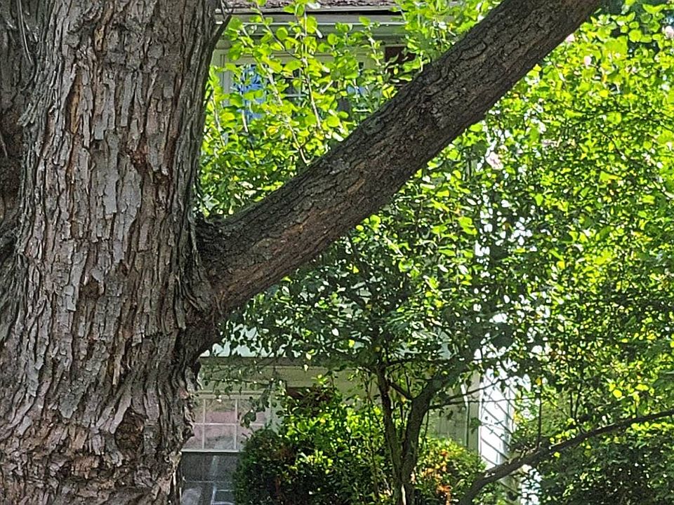 2nd image of 73 Close Hollow Dr