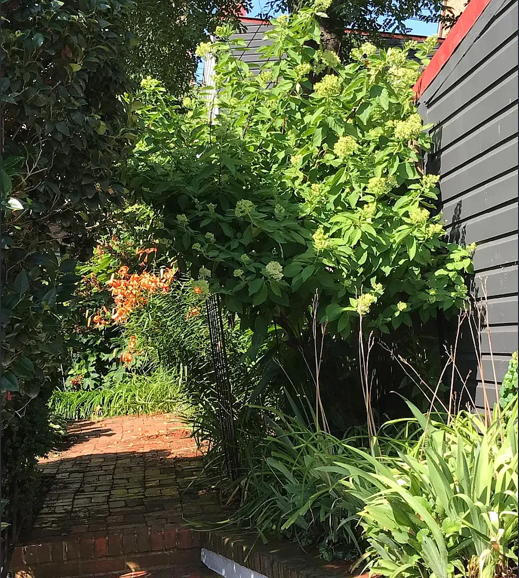 1 bed, 1000 sqft, $2,600 — Photo 3