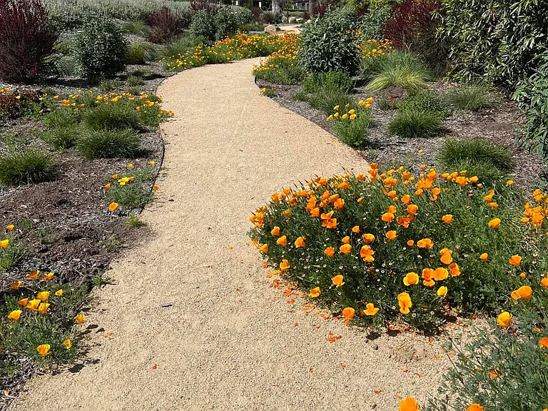 1311 Plaza Pacifica — Photo 11