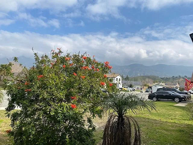 Jasmine Ct, San Bernardino — Photo 4