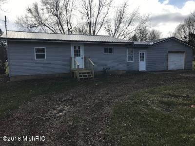 424 Polk St, Colon, MI, 49040