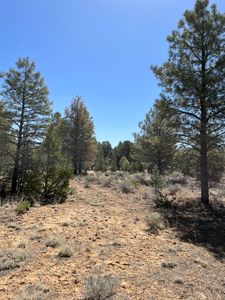 239 Ranch Dr, Ramah, NM, 87321