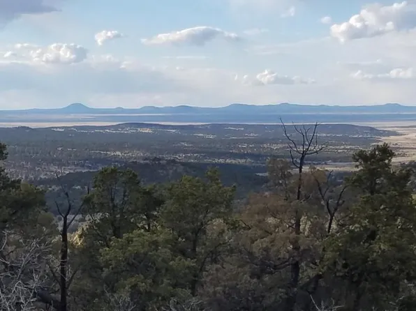 45 Elk Ridge Pass Rd, Pie Town, NM 87827