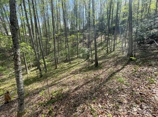 0 Cawood Ln, Clyde, NC 28721