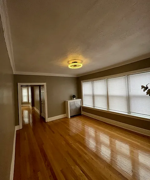 7721 S Hermitage Ave #3 — Photo 3