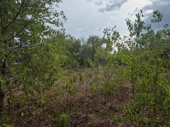 107 Waialua Ct, Bastrop, TX 78602