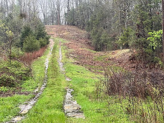 2nd image of 31 Hickory Hill Drive