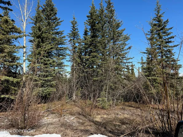 Mi 6 Edgerton Hwy, Copper Center, AK 99573