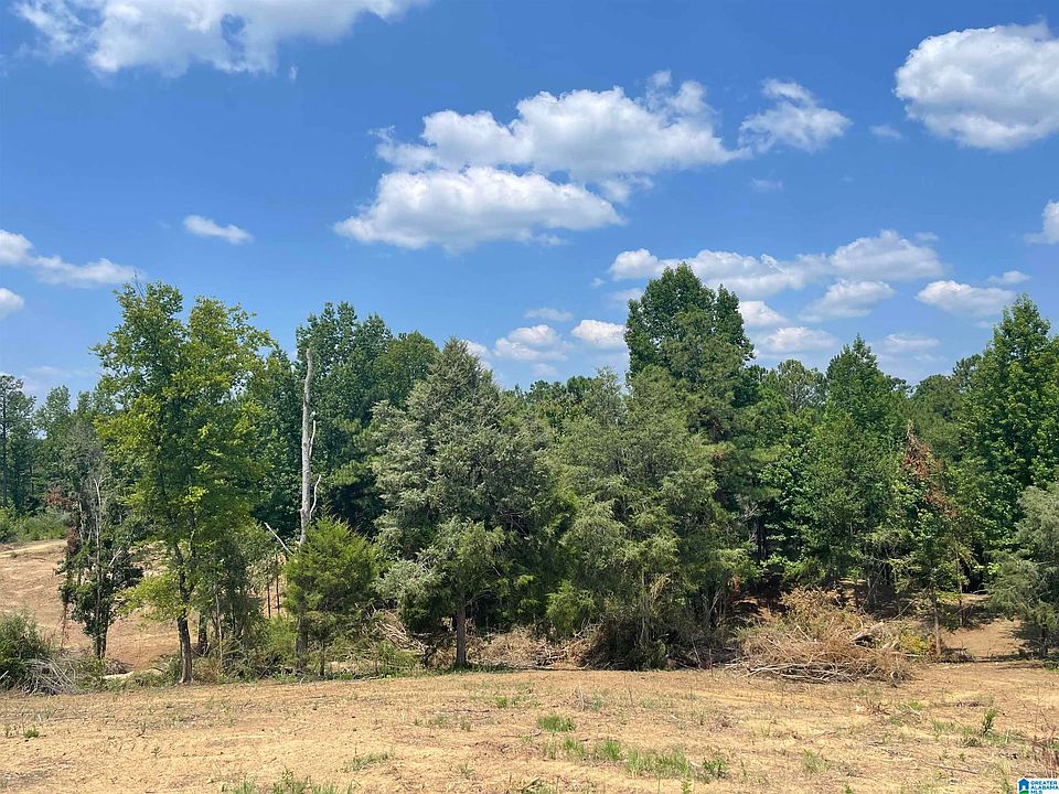 7007 Truman Aldrich Pkwy 10, West Blocton, AL 35184 Zillow