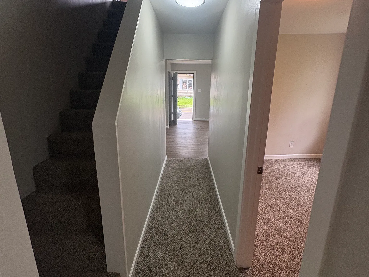 2 bed, $800 — Photo 4