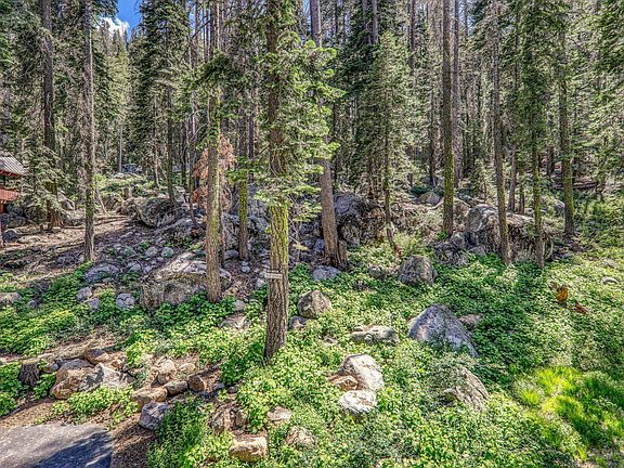3rd image of 15801 Conifer Dr