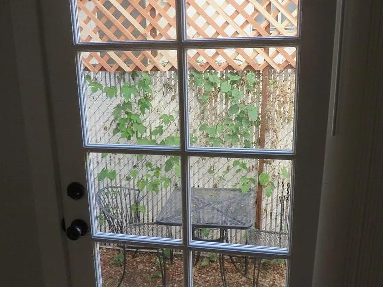 Partial view of private side yard
