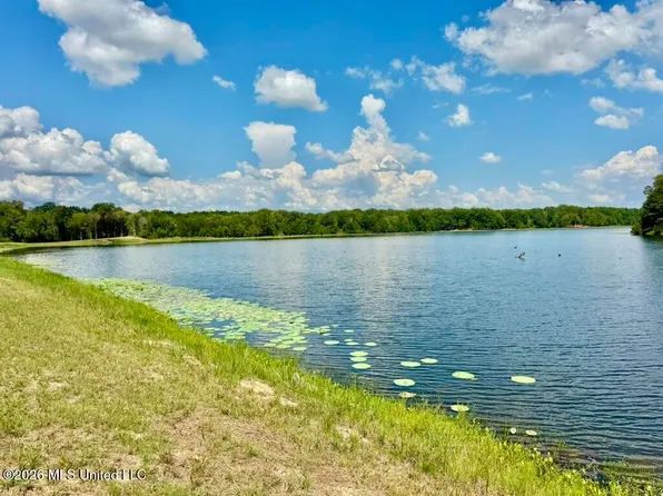 114 Pocahontas Rd, Flora, MS 39071
