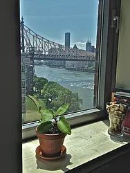 Rented by Sotheby's International Realty