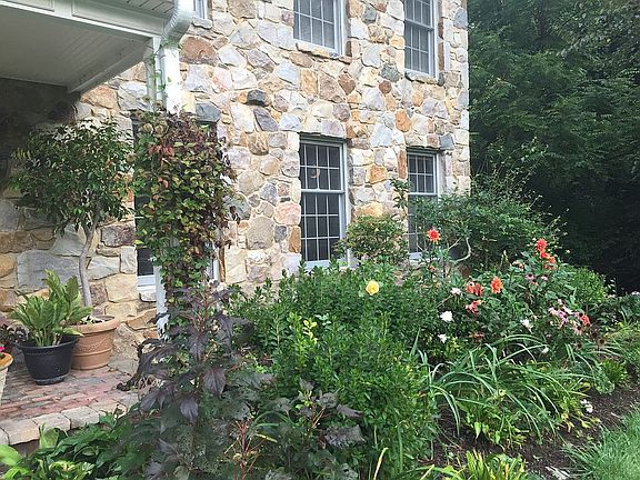 Hundreds of perennials