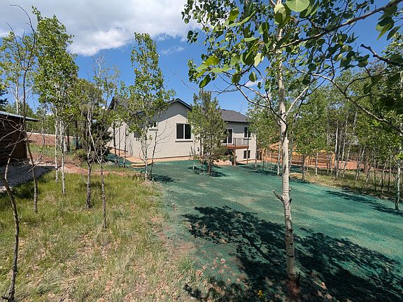 Back yard