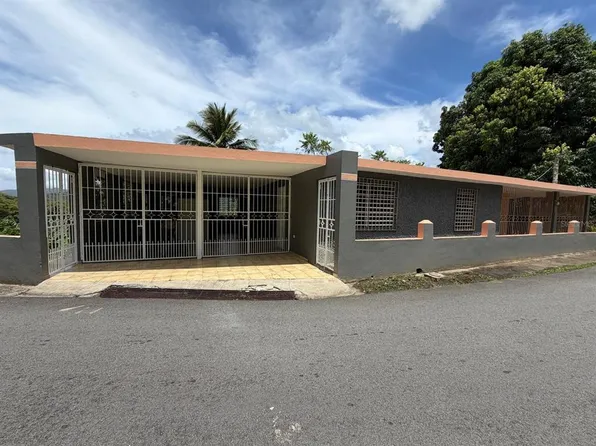 Carr # 31, Km 10,0 SECTOR EL COMUN, RIO BLANCO, PR 00744