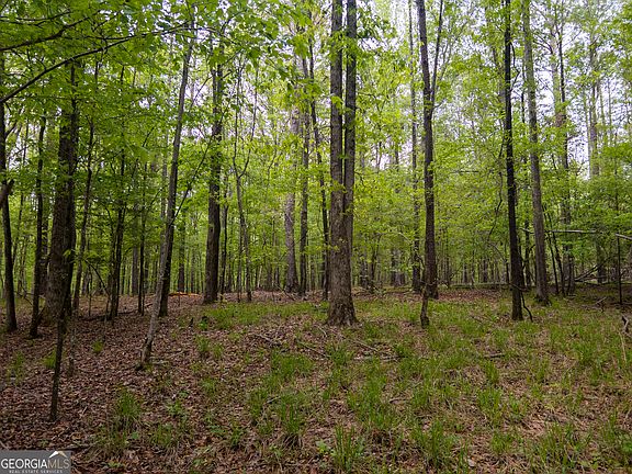 5th image of Georgia Kaolin Rd