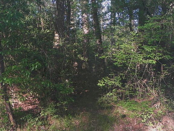 4th image of Tbd Lot 54 Forest Hills