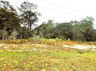 1197 W Hampshire Blvd, Citrus Springs, FL 34434