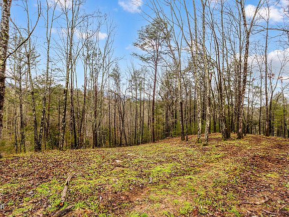 4th image of TRACT 2 Dripping Springs Rd