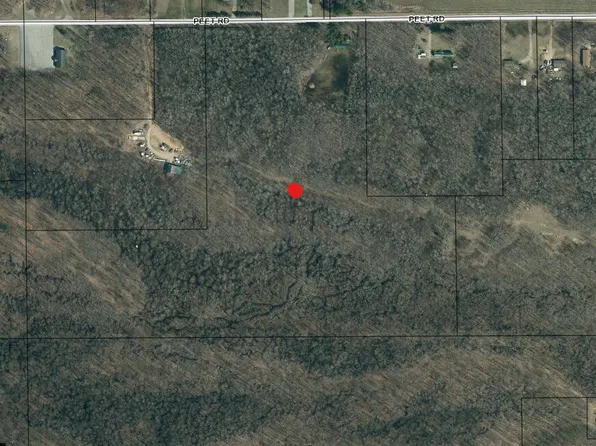 1 W Peet Rd, Bannister, MI 48807