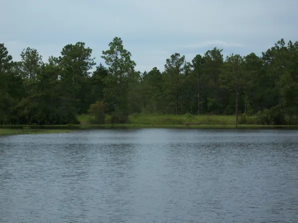 141 Silk Oak Dr, Defuniak Springs, FL 32433