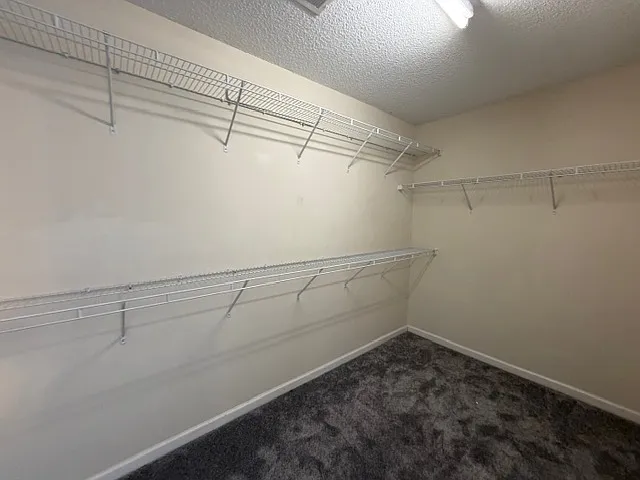 6229 Creekbrooke Ct — Photo 18
