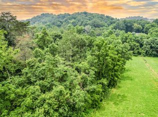 W Pines Rd, Afton, TN 37616