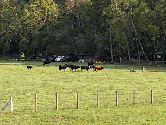 4th image of 800 Holt Ln