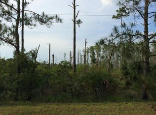 10141 Blackberry Rd, Mims, FL 32754