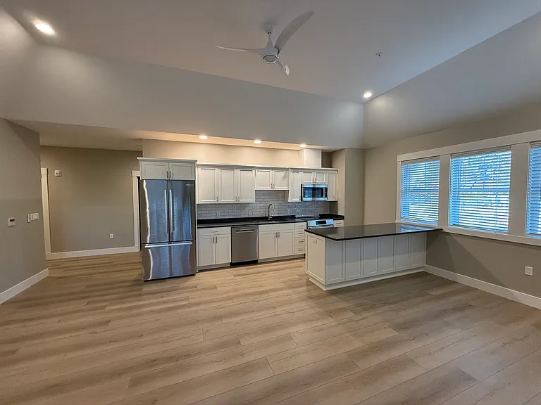 Kitchen and Living areas