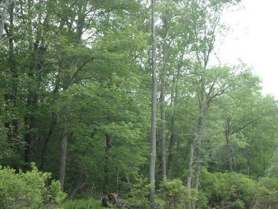 S Maplewood Rd, Monticello, NY, 12701