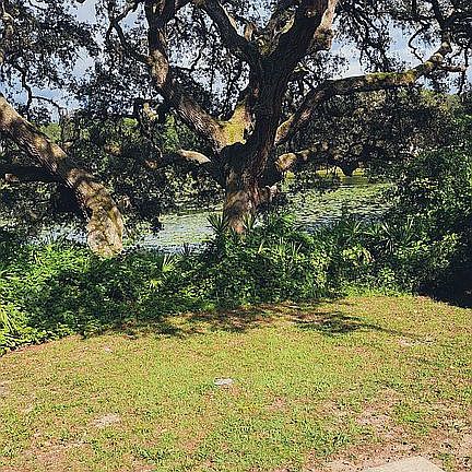 Back view / Lake