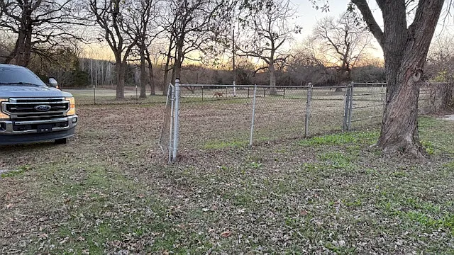 3 bed, 1220 sqft, $1,500 — Photo 4