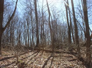 Beagle Club Rd, Scio, OH 43988