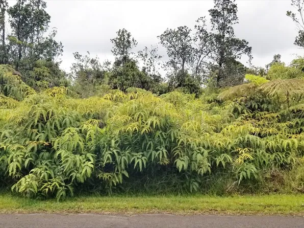 11-3122 Pa Alii St Lot 1569, Volcano, HI 96785