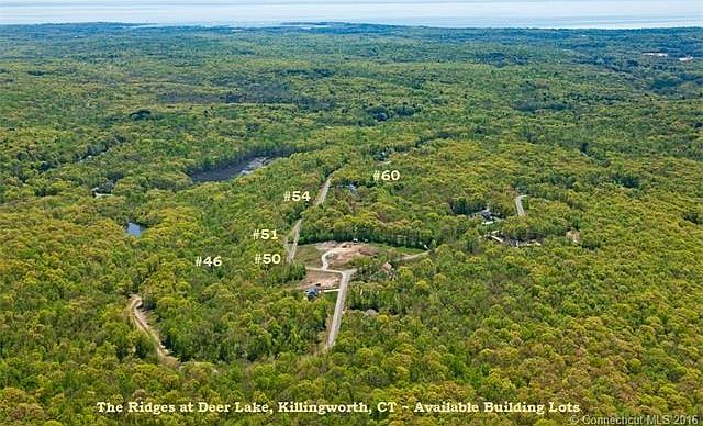 2nd image of 50 Beaver Dam Rd