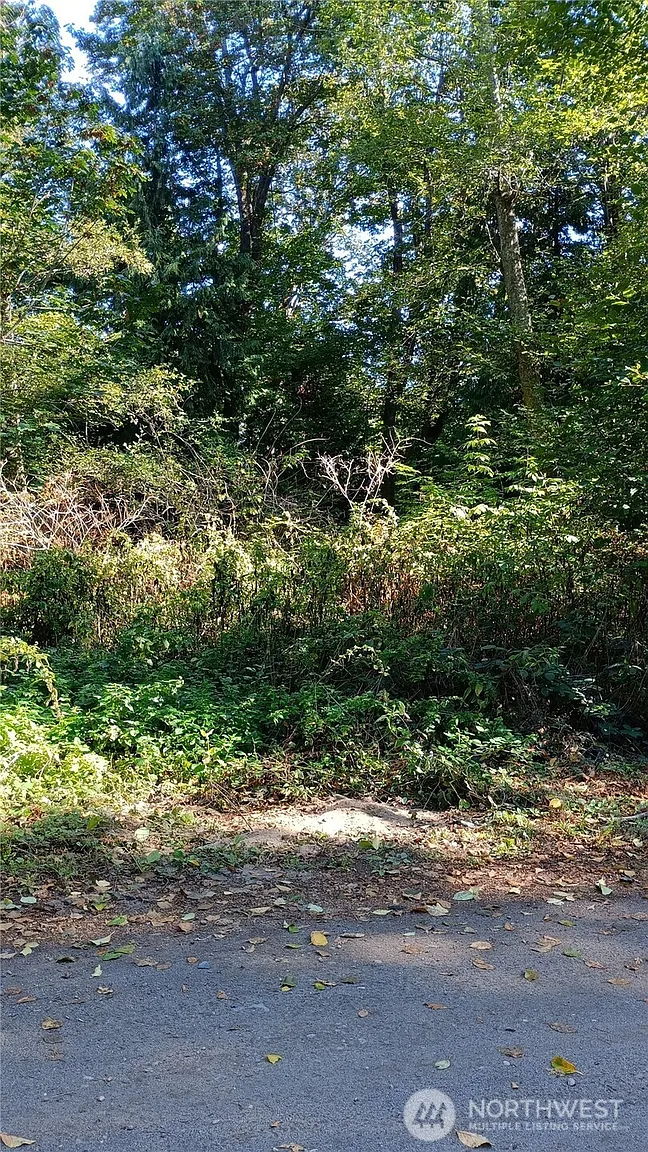 97 J Saratoga photo 1