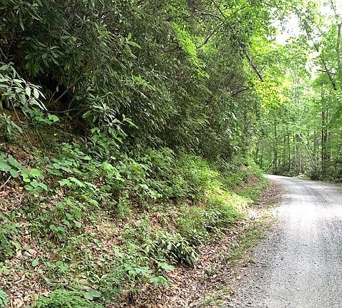 3rd image of 0 Little Ellijay Road