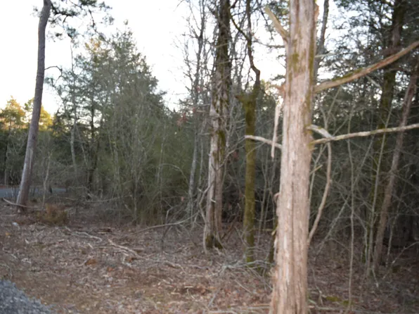 0 Sunshine Ln, Pangburn, AR 72121