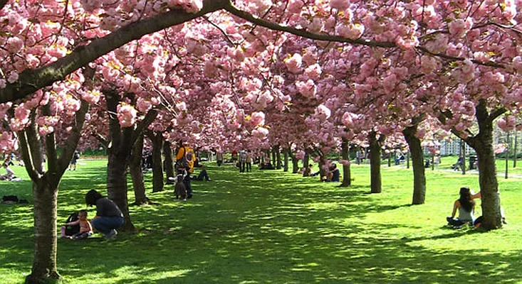 Rented by Abba Realty Associates INC | media 32