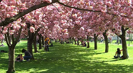 Rented by Abba Realty Associates INC