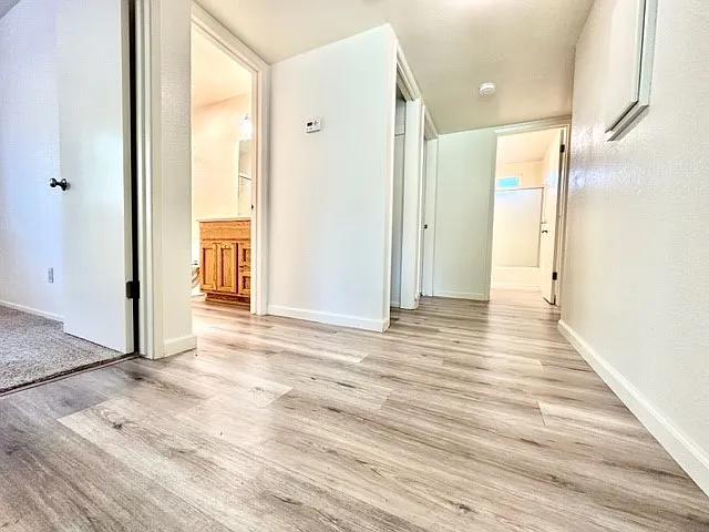 815 Hazel Street - D — Photo 4