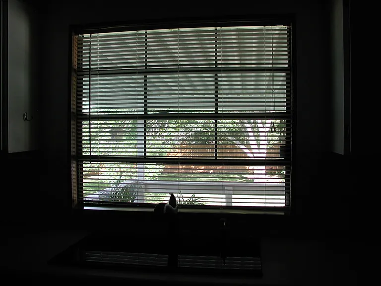 Kitchen - back yard view