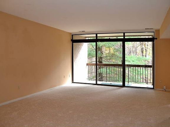 Light-filled Living Room