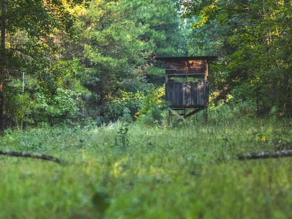 0 Bill Hubbard Rd, Braxton, MS 39044