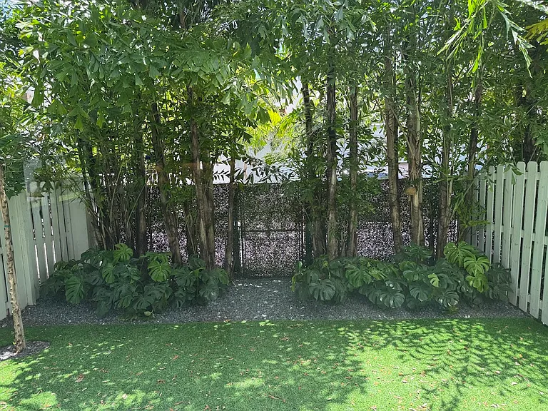back yard