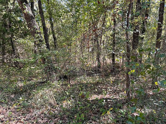 4th image of LOT 750 Doe Run Rd